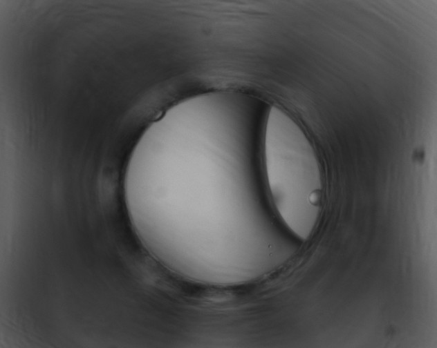 X0000101970263200807180733