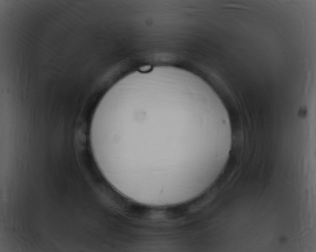 X0000101970264200807180733