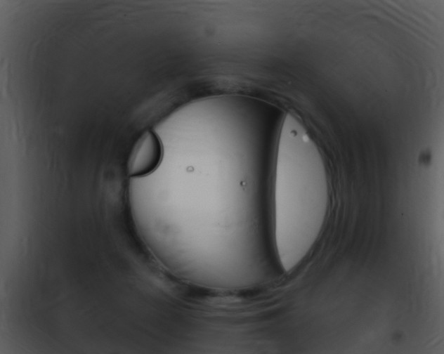 X0000101970266200807180733