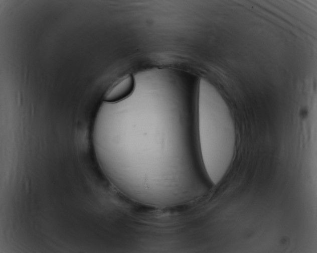 X0000101970267200807180733