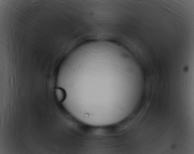 X0000101970268200807180733