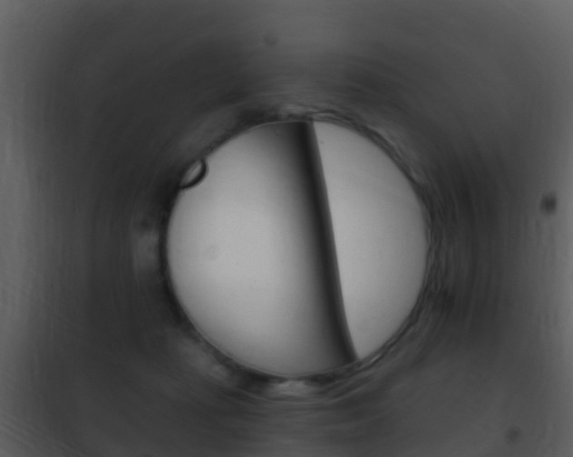 X0000101970269200807180733
