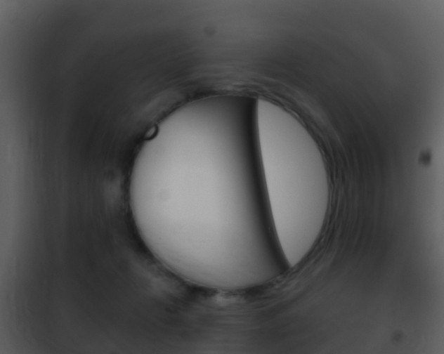 X0000101970270200807180733
