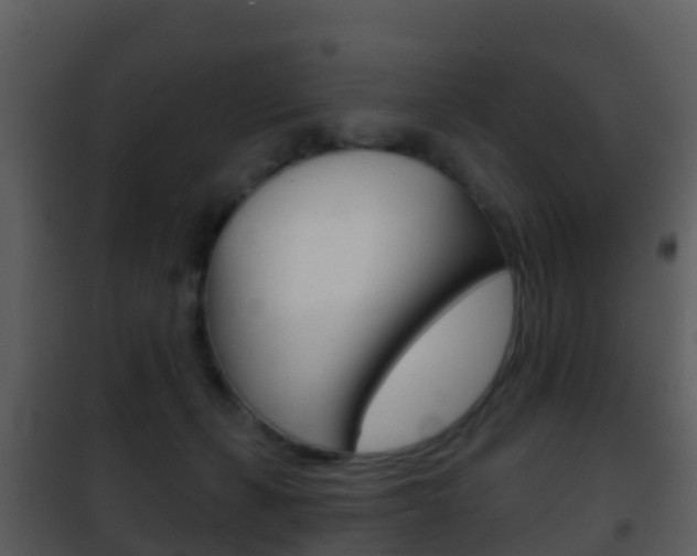 X0000101970271200807180733