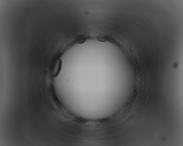 X0000101970272200807180733