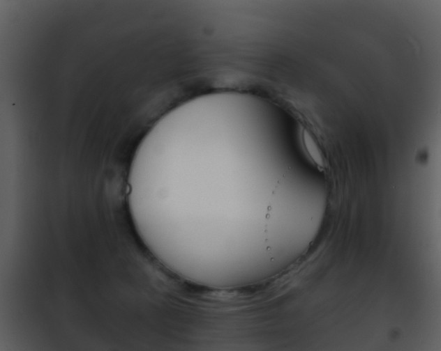 X0000101970273200807180733