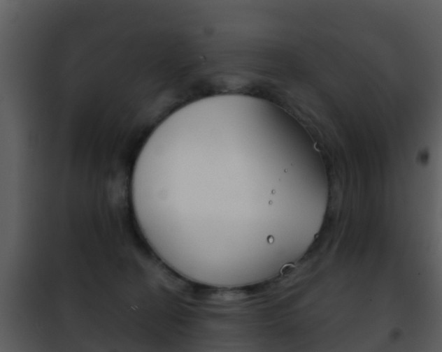 X0000101970274200807180733