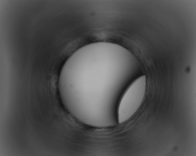 X0000101970275200807180733