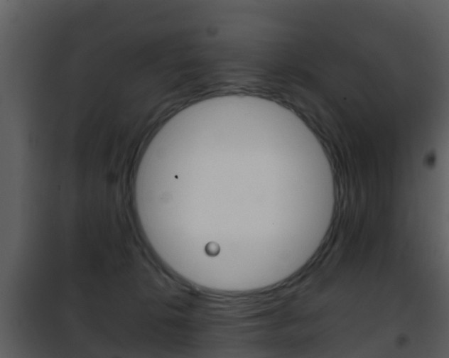 X0000101970276200807180733