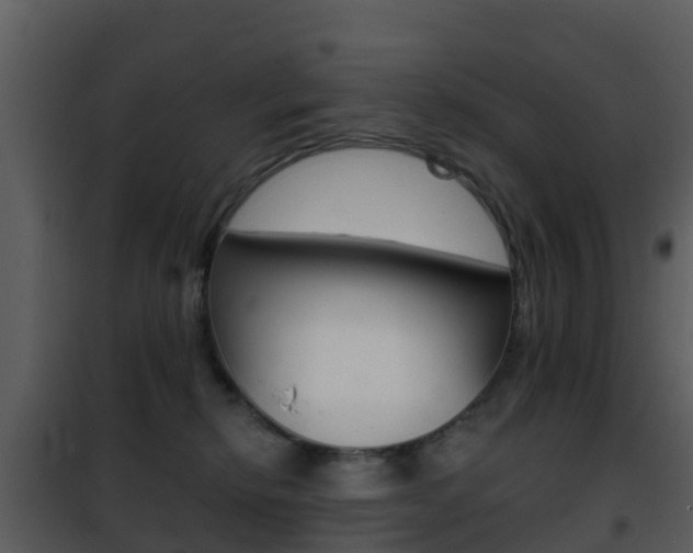 X0000101970278200807180733
