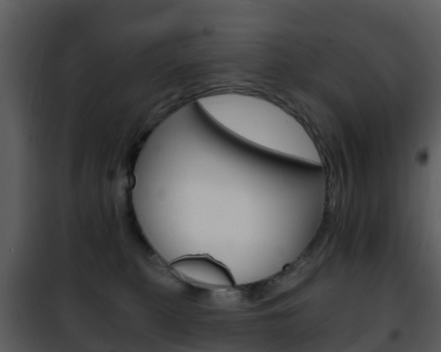 X0000101970279200807180733