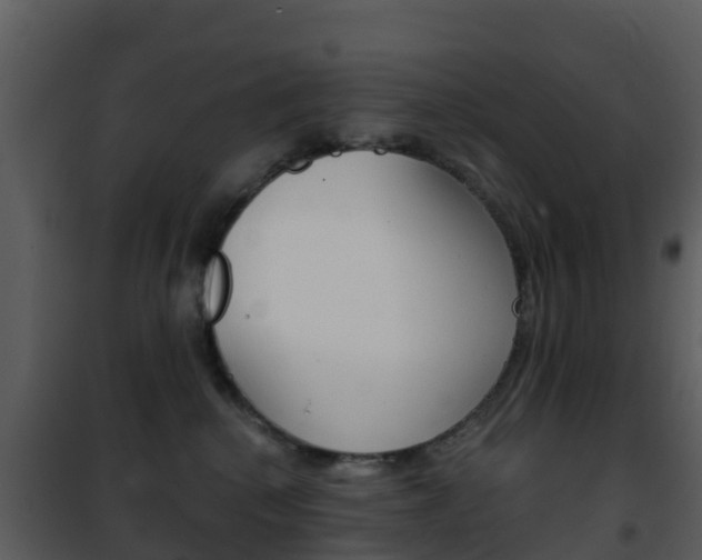 X0000101970280200807180733