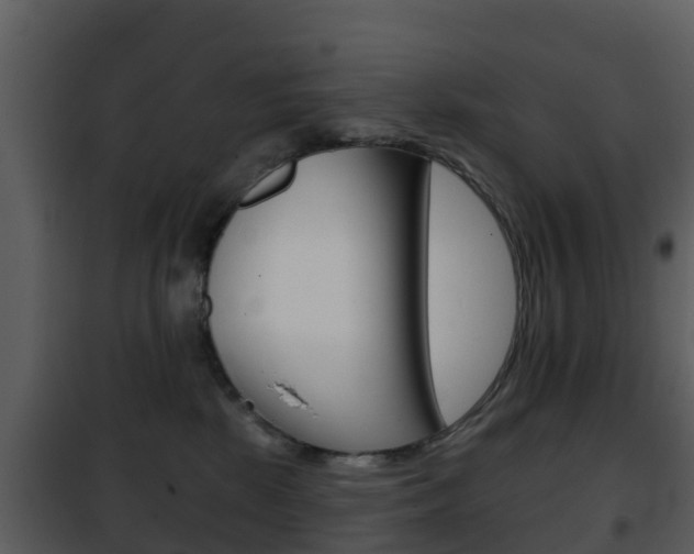 X0000101970281200807180733