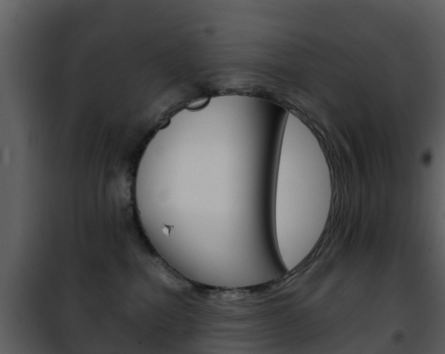 X0000101970282200807180733