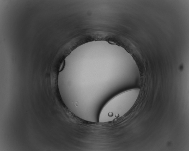 X0000101970283200807180733
