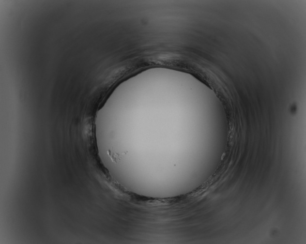 X0000101970284200807180733