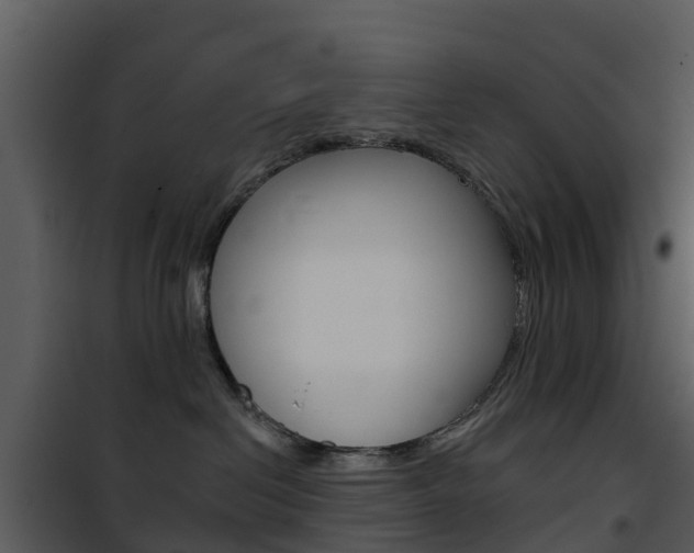 X0000101970286200807180733