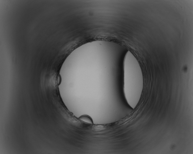 X0000101970287200807180733