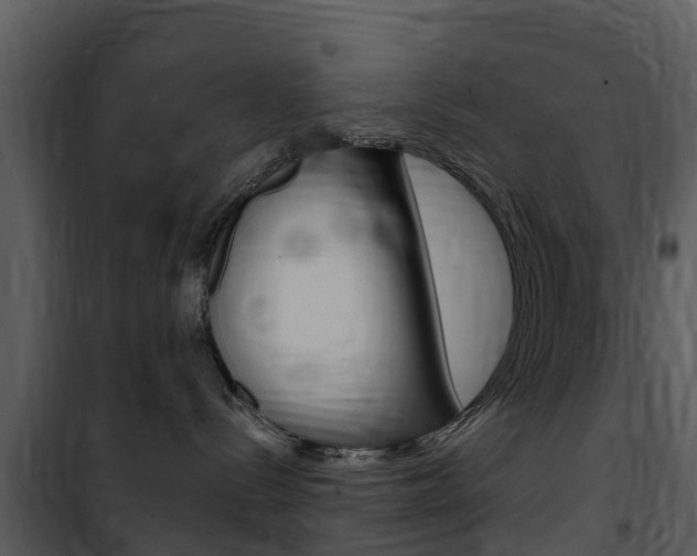 X0000101970288200807180733