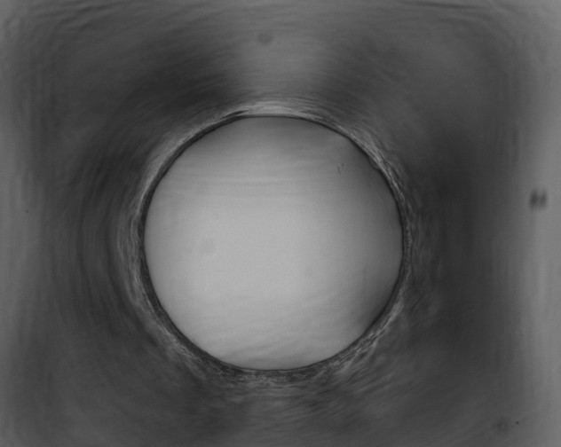 X0000101970289200807180733