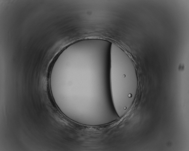 X0000101970290200807180733