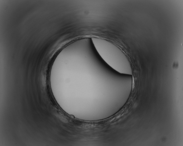 X0000101970291200807180733