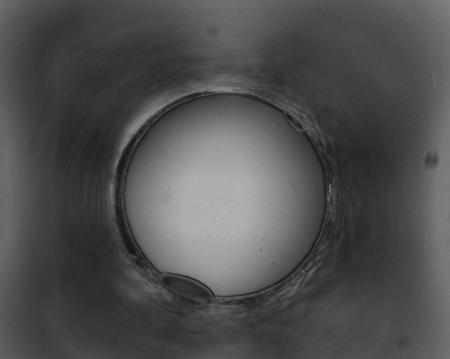 X0000101970292200807180733