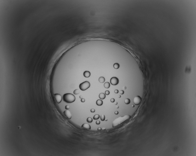 X0000101970293200807180733