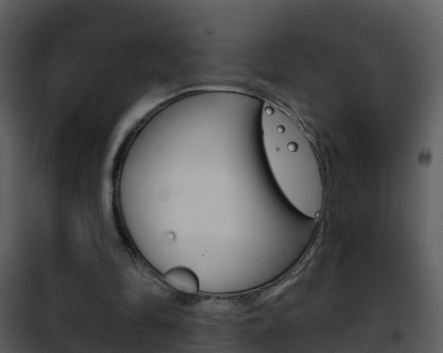 X0000101970294200807180733