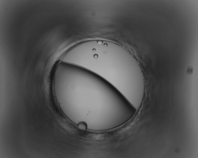 X0000101970295200807180733