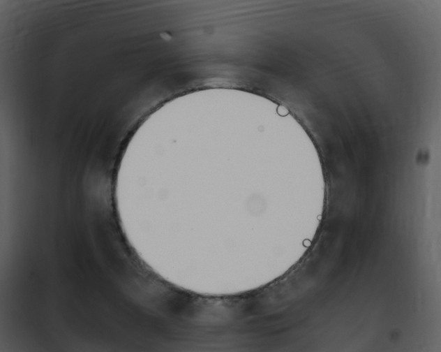X0000101970297200807180732