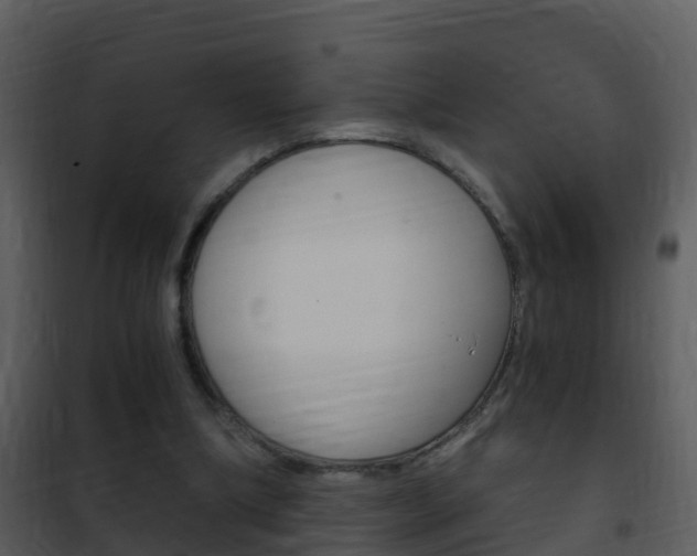 X0000101970298200807180732