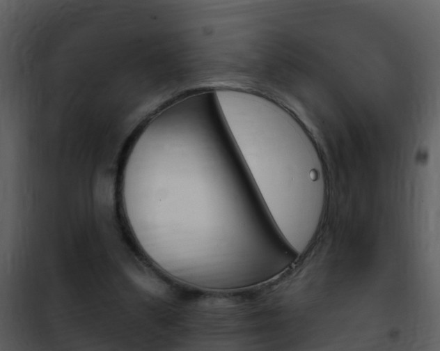 X0000101970299200807180732