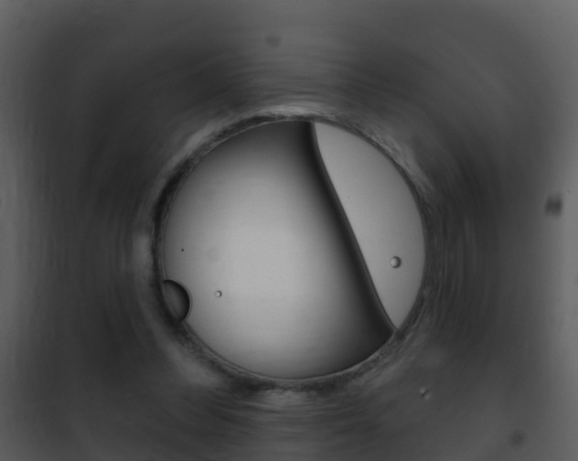 X0000101970300200807180732