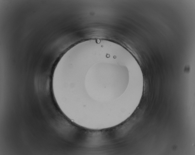 X0000101970301200807180732