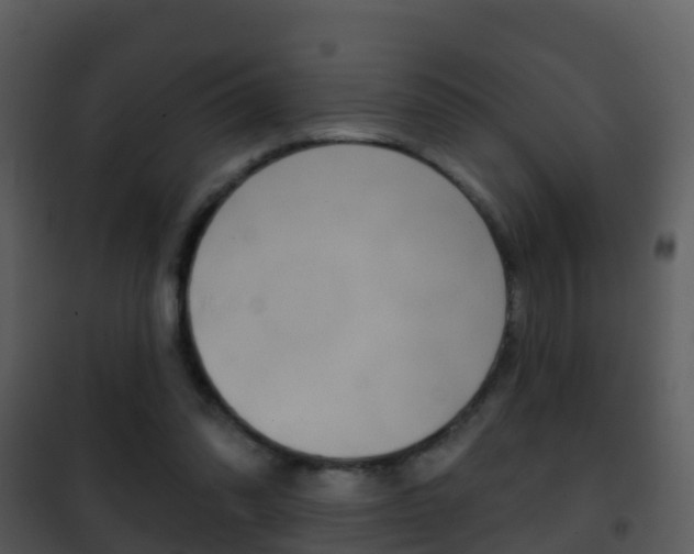 X0000101970302200807180732