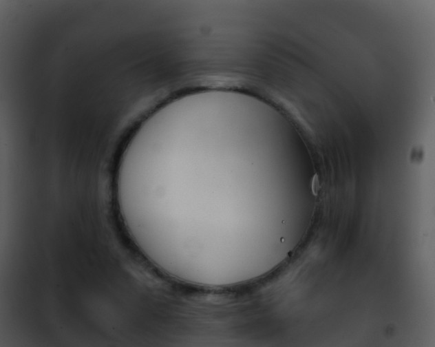 X0000101970303200807180732