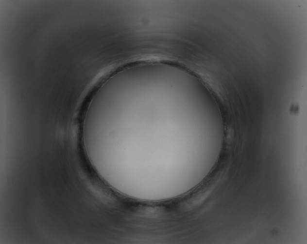 X0000101970304200807180732