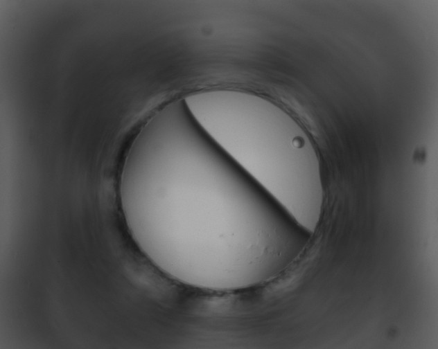 X0000101970306200807180732