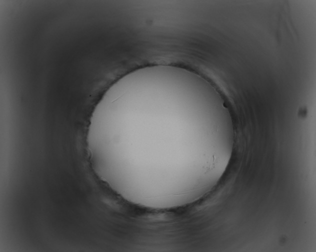 X0000101970307200807180732
