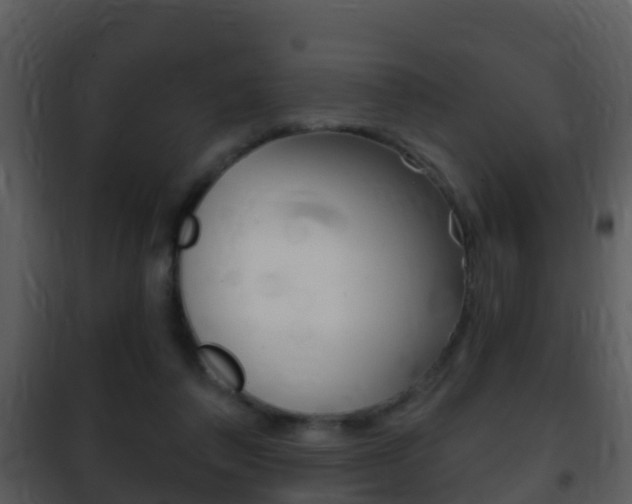 X0000101970308200807180732