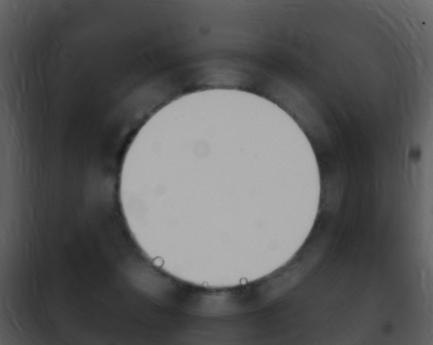 X0000101970309200807180732