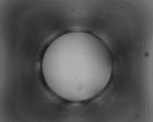 X0000101970310200807180732