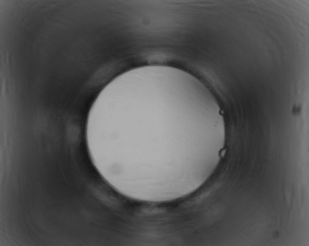 X0000101970311200807180732