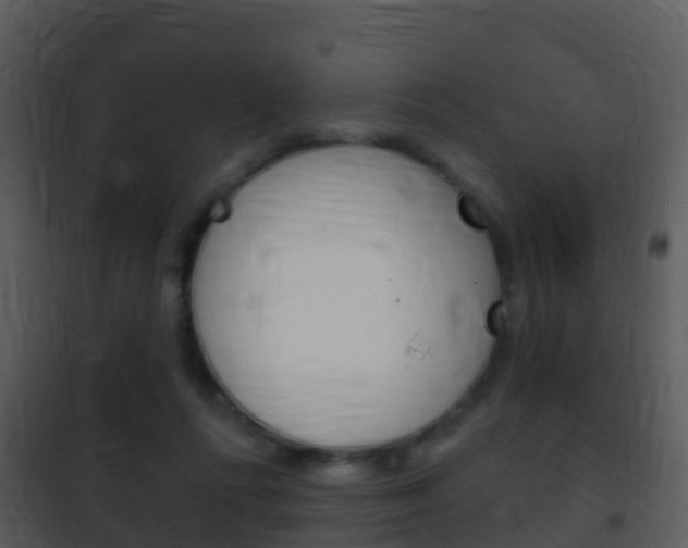 X0000101970312200807180732