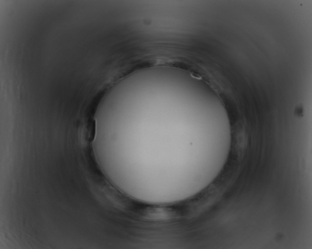 X0000101970316200807180732