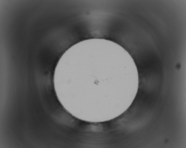 X0000101970317200807180732