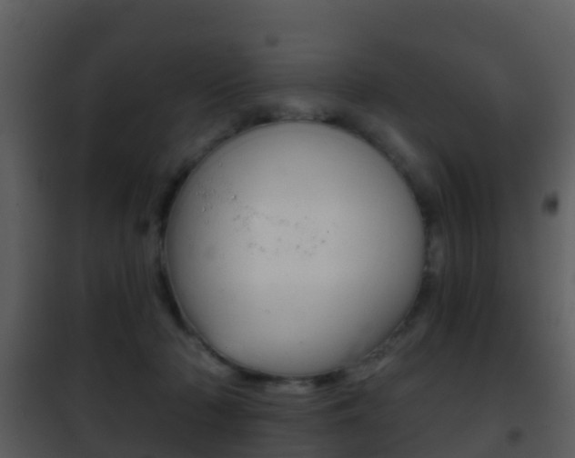 X0000101970318200807180732