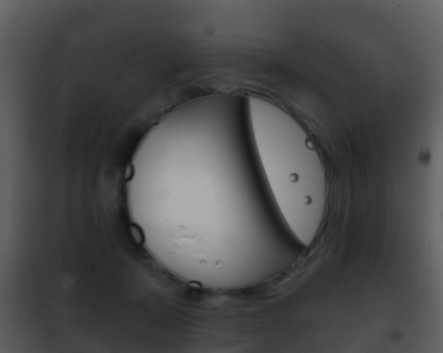 X0000101970319200807180732