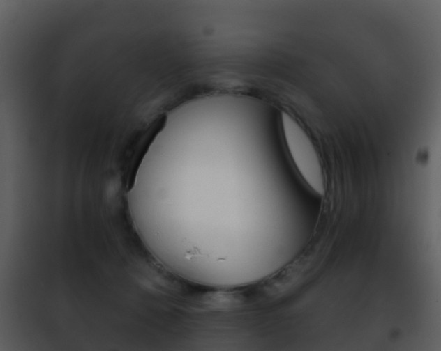 X0000101970320200807180732